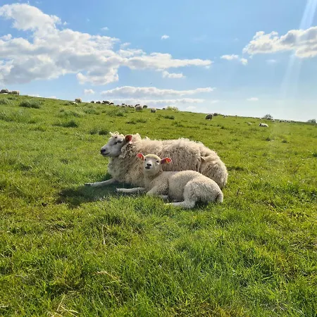 Appartement Sabrina *